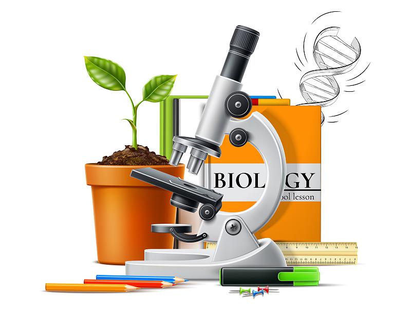 高中生物怎么学才能提高成绩？