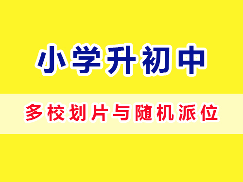 重庆小学升入初多校划片与随机派位；让小升初更灵活