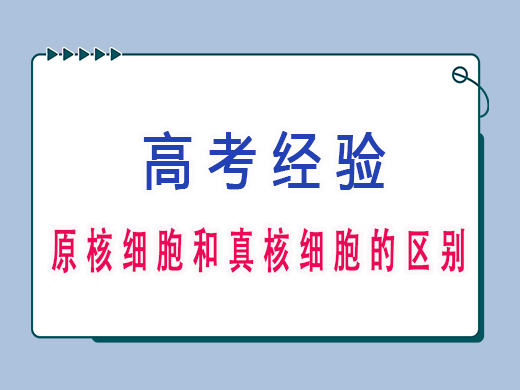 高三生物中原核细胞和真核细胞的区别，重庆高三文化课老师浅谈。