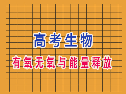 高三生物有氧无氧与能量释放，重庆高考文化课集训班老师经验
