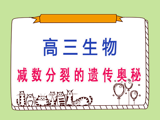 高三生物减数分裂的遗传奥秘，重庆高考文化课集训班老师经验